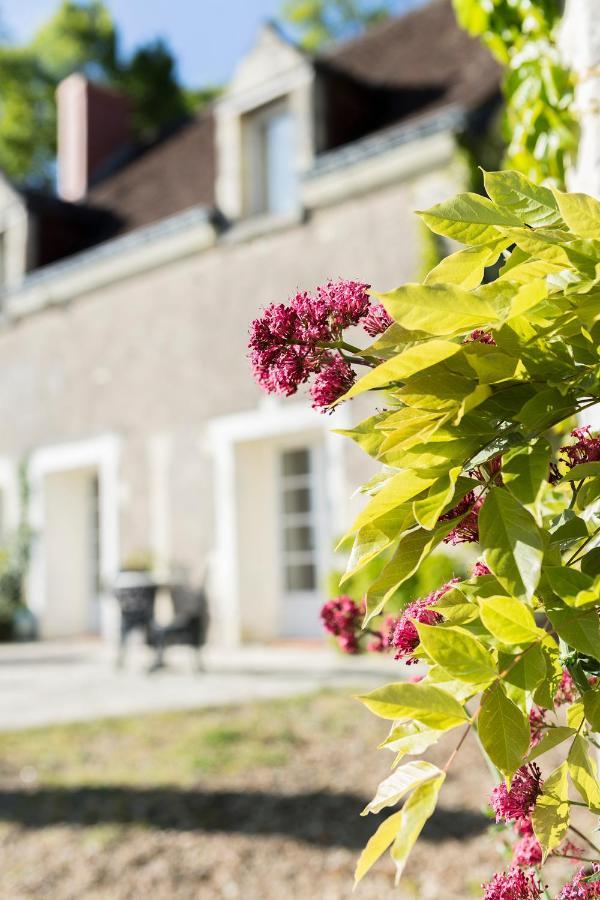 Les Terrasses Suite Et Loft De Campagne Avon-les-Roches Exterior foto